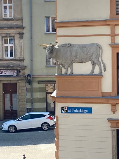 This is a photograph of a street scene in Świdnica, Poland, with a focus on the facade of a building adorned with a large, grey sculpture of a bull. The bull sculpture is detailed, with visible horns and musculature, and appears to be a prominent architectural feature.
Above the bull sculpture, there is a blue street sign with white text that reads "ul. Pułaskiego." Below the street name, there are two crests, one with a lion and the other with an eagle. The building itself has a light-colored facade with wooden trim.
To the right of the bull sculpture, a modern white car is parked on the street. The car is a prominent object in the scene. The street appears to be paved with cobblestones or a similar material. In the background, other buildings with windows and architectural details are visible, suggesting an urban or town setting.
The photograph is taken from an elevated perspective, looking down onto the street and the bull sculpture. The lighting suggests it is daytime, with no specific indication of the weather conditions other than the bright illumination. The scene is static, with no people prominently featured, though a silhouette of a person can be seen in the far right background. The overall impression is one of a historical European town with a unique artistic element.