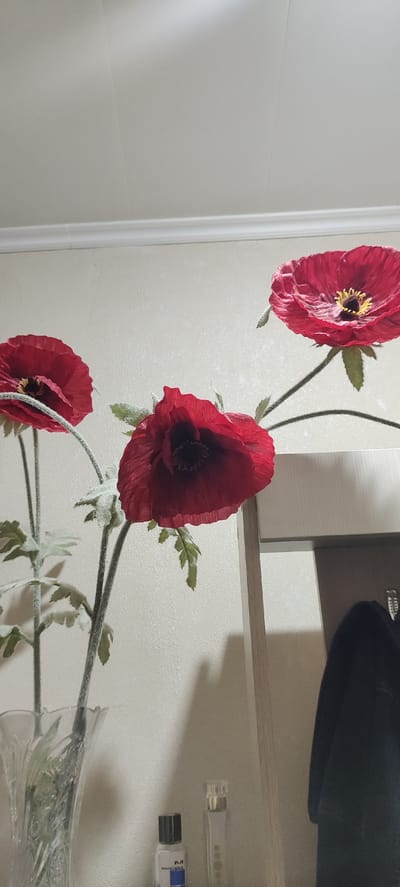 The image shows three artificial red poppies in a vase. One poppy is in the foreground, slightly to the left and is the largest. Another poppy is to its left and slightly behind. The third poppy is in the upper right of the image. They are arranged against a pale beige wall with a white baseboard. A light wood shelf unit is to the right of the poppies, and a dark garment is hanging on it. Two small bottles, possibly perfume, are on the shelf below the poppies. The lighting suggests an indoor environment. The scene is located in Dimitrovgrad, Russia.