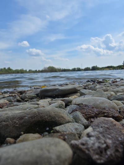 The image shows a close-up, low-angle view of a rocky shoreline with a body of water in the background. The foreground is dominated by numerous smooth, rounded stones of varying sizes and colors, mostly grey and beige. Some of the stones have a damp appearance. Scattered amongst the rocks are small bits of dried vegetation. In the middle ground, gentle waves ripple across the water's surface. The background features a line of green trees and foliage against a bright blue sky filled with scattered white, fluffy clouds. The scene suggests an outdoor natural environment, likely a lake or riverbank, given the calm water and rocky terrain. No people or structures are visible in the image. The location is identified as Krčmaň, Czechia.