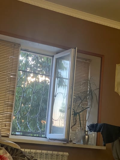 The image captures an interior view through an open window, looking outwards. The primary subjects are the window itself, adorned with decorative wrought iron bars on the lower pane, and a bamboo blind covering the lower part of the window. Sunlight streams through the leaves of trees visible outside, creating bright highlights.
Inside the room, a part of a white window frame is prominent. Above the window, a wooden-framed structure is visible, housing a plant with long, spiky leaves, possibly a Dracaena. A metallic curtain rod finial and some plastic bottles are also discernible within this upper area. A black piece of fabric is draped over something out of frame, hanging down into the scene from above. The walls of the room are a muted brown color, with decorative molding visible on the left side. To the right of the window, a white shelving unit with a grid pattern is partially visible, and a patterned cushion or fabric lies in the foreground.
The lighting suggests it is daytime, with the bright sunlight indicating a clear or partly cloudy sky. The presence of lush greenery outside implies a location with vegetation, possibly a garden or a wooded area. The overall impression is of a domestic interior looking out onto a sunlit, natural environment. No text is visible in the image.