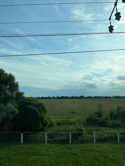 The image depicts a rural landscape in Ushaki, Russia, under a partially cloudy sky. The foreground features a low fence made of metal mesh and posts, bordering a grassy area. Beyond the fence, a vast, flat field of green grass stretches towards a distant tree line. To the left, a large, bushy green tree dominates the edge of the frame. In the upper portion of the image, several thick, dark wires traverse the sky, supported by unseen structures, with a few dark, bell-shaped objects hanging from one of the wires. The overall scene is serene and evokes a sense of open space and nature.