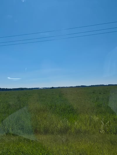 This is an image of a rural landscape under a clear blue sky, taken in the vicinity of Салонскі сельскі Савет, Belarus. The foreground is dominated by a vast, lush green field, likely a meadow or agricultural land, with tall grasses and scattered wildflowers. In the mid-ground, a line of trees forms a dark horizon, behind which a few distant buildings with white roofs are visible. Above the tree line, faint wisps of clouds or contrails streak across the sky. Three thin, dark power lines are stretched horizontally across the upper portion of the image. There are no people or discernible actions depicted. The overall impression is one of an open, tranquil, rural environment.