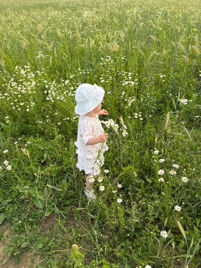 A young child wearing a white bucket hat and a light pink patterned romper is standing in a field of tall green grass and white daisies. The child is holding a small bouquet of daisies in their right hand. The field appears to be located in or near the village of Сновицы, Russia, judging by the context provided. The lighting suggests it is late afternoon or early evening. The background is a dense expanse of grass and wildflowers stretching into the distance.