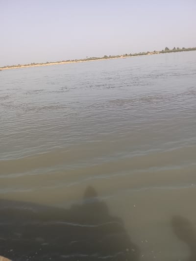 The image depicts a wide expanse of water, presumably the Benue River, located in Ibi, Nigeria, under a pale, clear sky. The water occupies the majority of the frame, exhibiting a murky greenish-brown hue with numerous small ripples across its surface. In the lower-left foreground, two indistinct dark shadows are cast onto the water; one strongly resembles a human profile, while the other is less defined, indicating the presence of at least two individuals or objects immediately preceding the viewpoint. A narrow, light-colored sandy or earthen bank is visible horizontally across the mid-distance, separating the water from a sparse line of dark green vegetation beyond it. The scene is illuminated by ambient daylight, with no discernible human activity other than the implied presence of the individuals casting shadows.