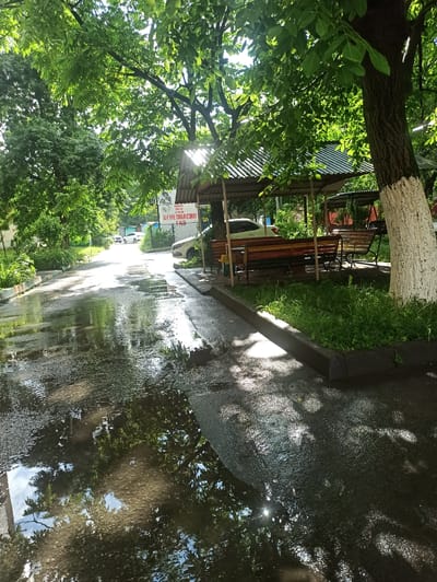 The image depicts a wet asphalt road reflecting sunlight and trees. On the right side of the road, there's a covered seating area with benches and a table, set against a backdrop of trees and a building. The building has a sign with Russian text. There are trees with green foliage throughout the scene. The road appears to be in a residential or communal area, possibly a courtyard or park. The reflection in the water on the road shows the sky, trees, and some buildings. There are no people visible in the image. The overall impression is one of a quiet, possibly post-rain, outdoor scene in a suburban or urban environment. The location is identified as Atabe, Georgia, though the visual elements themselves do not provide definitive clues to this specific location.