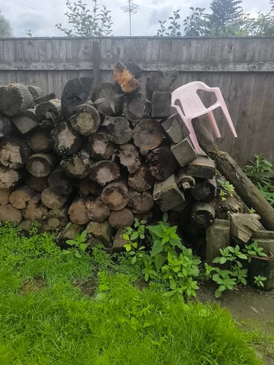 A rustic outdoor scene is captured in this image, set against a weathered wooden fence. In the foreground, lush green grass covers the ground, with various plants and weeds growing amongst it. A large pile of rough-hewn logs, varying in size and shape, dominates the mid-ground, stacked against the fence. Some of the logs show signs of age and decay. Perched precariously on top of the log pile is a small, pale pink plastic chair, tilted at an angle. The background reveals more of the wooden fence and some foliage from trees and bushes. The overall impression is one of a simple, utilitarian outdoor space, possibly a backyard or a storage area. This scene could be located in the city of Kashino, Russia, given the context.