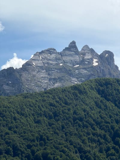 A vertical landscape photograph depicts a rugged mountain range rising above a dense, verdant forest under a partially cloudy sky. The scene is located in Dragovića Polje, Montenegro.
The upper portion of the image features a light blue sky, mostly clear with several diffuse white cumulus clouds, primarily on the left side. Two small, dark, indistinct shapes, possibly birds, are discernible in the upper left quadrant of the sky.
Beneath the sky, a prominent gray mountain range dominates the middle ground. The rock faces exhibit significant geological striations, fissures, and rough textures. Several distinct peaks are visible, with the central ones appearing more pointed and angular. Irregular patches of white snow are embedded within the crevices and on the upper slopes of the mountains, particularly noticeable on the central and rightmost peaks. The mountains are illuminated by bright, direct light, enhancing their textural details and creating subtle shadows.
The lower half of the image is covered by a dense, dark green forest. The canopy is composed of numerous trees, creating a continuous, textured surface that ascends towards the base of the mountains. Variations in green tones indicate depth and potentially different tree species or areas of shadow. No specific human activity, structures, or discernible animals are present in the frame.
