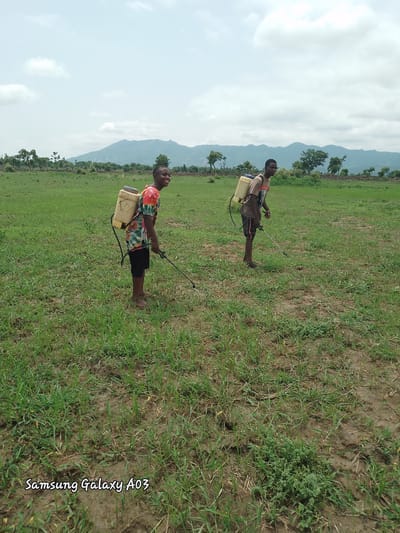 In a rural, open field, two young men are engaged in pesticide application. Both are wearing backpacks with sprayers attached and are holding spray wands, aiming them towards the ground. The field is covered in green grass and patches of dry earth. In the background, a line of trees and rolling hills under a cloudy sky suggest a remote, undeveloped area. The lower-left corner of the image displays the watermark "Samsung Galaxy A03," indicating the device used for capture. The scene appears to be in Angwan Hausawa, Nigeria, a location known for its agricultural activities.