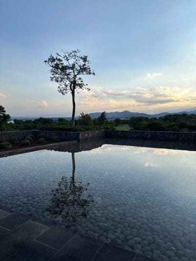 The image depicts a scenic view captured in Pueblo Nuevo de Jasso, Mexico. A solitary, leafless tree stands tall on the left side of the frame against a backdrop of a blue sky with scattered clouds, transitioning into mountainous terrain. A walled structure bisects the scene horizontally. Below the wall, a reflective surface, possibly water, mirrors the tree and sky above. The ground beneath the reflective surface is visible as a bed of round rocks, creating a textured contrast. Cacti are arranged between the viewer and the wall. The overall scene evokes a sense of serene landscape and reflection.