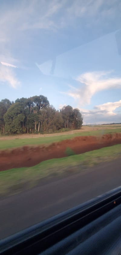 The image shows a view from a moving vehicle, likely a car or bus, in an outdoor setting. The scene features a clear, blue sky with scattered clouds on the left side of the frame, and a landscape consisting of trees, green grass, and a dirt path or track in the middle. A field is visible further away, appearing to be agricultural land. The right side of the frame shows the interior of the vehicle, including a window and part of the vehicle's structure. Based on the description provided, this scene is likely located in the Kisima ward, Kenya, where the presence of agricultural lands, vegetation, and vehicular traffic is expected.