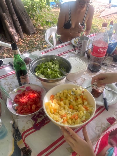 A picnic scene with bowls of salad, including lettuce, potatoes with carrots, and diced tomatoes. A bottle of Coca-Cola, an opened green bottle, and other containers sit on a tablecloth with a red and white striped pattern. One person is holding a piece of meat on a fork while another person wearing a swimsuit is eating from a metal cup. A stack of logs is visible in the background.