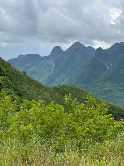 This is a wide-angle, eye-level photograph taken outdoors in Lùng Tám Commune, Vietnam. The scene depicts a mountainous landscape under a cloudy sky. In the foreground, tall green grass and lush green bushes occupy the lower portion of the frame. The middle ground features a steep, densely forested slope with trees of varying shades of green. The background is dominated by a series of rolling, verdant mountains that fade into a hazy blue-green hue due to atmospheric perspective. The peaks of the mountains are rounded and covered in thick vegetation. The sky is overcast with layers of gray and white clouds, obscuring the sun and creating a soft, diffused light. There are no people or animals visible in the image. The overall impression is one of natural beauty and tranquility.
