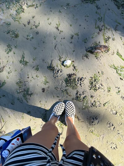 The image shows a close-up, overhead view of a sandy beach with patches of green seaweed. In the foreground, a person's legs are visible, wearing black and white checkered Vans slip-on shoes and a black and white striped skirt. The person is holding a blue and white cardboard carrier containing several bottles of what appear to be alcoholic beverages. To the right of the shoes, a white shell is visible on the sand, and further up, a piece of driftwood lies amongst the seaweed. The lighting suggests it is daytime, with shadows cast across the sand. The scene is set on a beach in the Southern Gulf Islands Electoral Area, Canada.