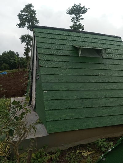 The scene depicts a partially visible, A-frame-style structure with dark green, horizontal wood-panel siding, situated in a rural or semi-rural area near Abbireddygudem, India. The structure features a small, angled vent or window with a white mesh screen located on its upper side. The roofline is dark-colored. The building rests on a light-colored concrete foundation. In the immediate foreground and surrounding the structure's base is overgrown vegetation consisting of various green plants and weeds. To the left of the structure, brown, tilled earth is visible, suggesting agricultural activity, with a folded blue tarp resting on the ground. The background is dominated by numerous trees of varying heights, including several tall, slender specimens, set against an overcast sky. No individuals, animals, or specific actions are observed within the frame.