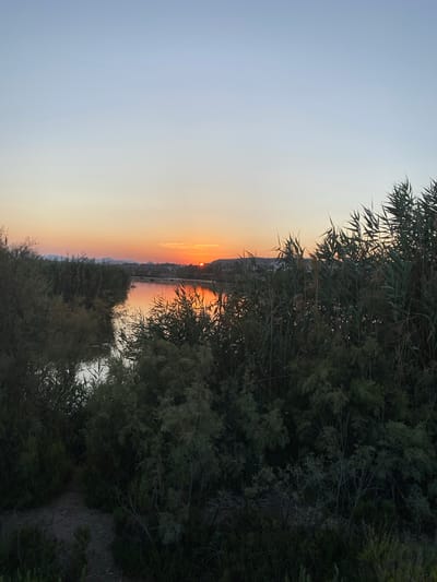 This is a photograph of a sunset over a body of water in Playas de Vera, Spain. The sun is low on the horizon, casting a warm orange glow on the water and the surrounding vegetation. Tall reeds and bushes line the edges of the water, with some of them appearing to be partially submerged. In the distance, faint hills or mountains can be seen against the sky, which is a gradient of soft blues and oranges. The overall scene evokes a sense of calm and natural beauty.