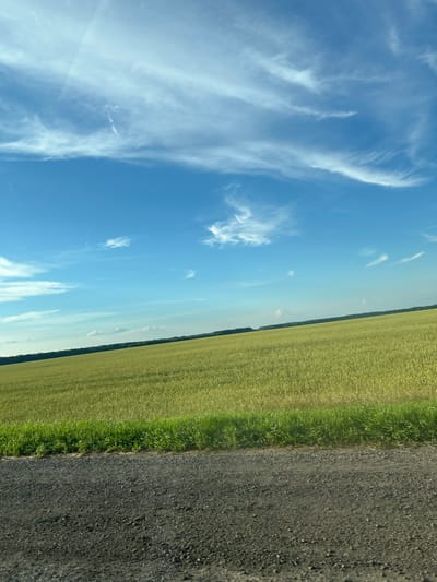 This is a landscape photograph taken in Karmaskaly, Russia. The image is oriented vertically and depicts a rural scene with a clear blue sky filled with wispy white clouds. The right side of the frame is dominated by a vast field of green crops, possibly wheat or barley, stretching towards the horizon. A narrow strip of grass separates the field from a dark, asphalt road that runs along the edge of the frame. The perspective suggests the photo was taken from a moving vehicle, looking outwards at the landscape. The bright sunlight and clear sky indicate it is daytime, likely a warm and pleasant day. There are no people or man-made structures visible in the frame other than the road. The overall impression is one of peaceful, open countryside.