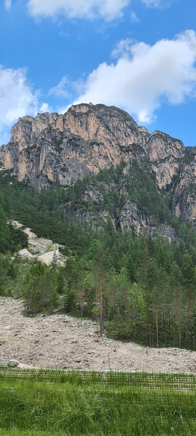 The image depicts a mountainous landscape in Toblach - Dobbiaco, Italy, under a partly cloudy blue sky. The foreground shows a grassy slope with a retaining wall or fence made of a green mesh material. Beyond this, a vast scree slope composed of light-colored rocks and gravel dominates the midground. A dense forest of coniferous trees, predominantly dark green, covers the upper part of the scree slope and extends up the lower slopes of the mountain. The mountain itself is rugged and rocky, with visible strata and patches of lighter-colored rock, suggesting a geological formation. The upper reaches of the mountain are covered in vegetation, transitioning from the dense forest to sparser greenery as the rock faces become more prominent. The overall scene is natural and untamed, showcasing the dramatic topography of the region. There are no people or animals visible in the image.