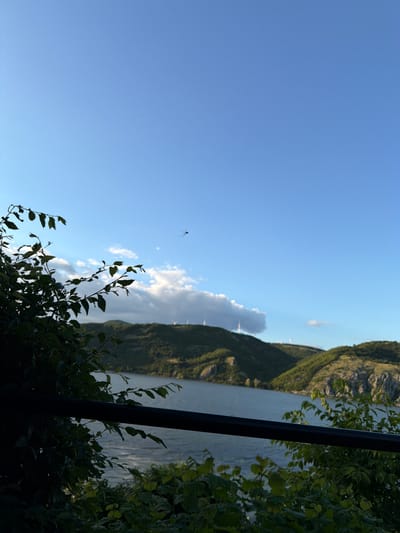 The image depicts a serene landscape scene, likely taken from an elevated vantage point, overlooking a body of water and rolling hills. The sky is a clear, vibrant blue, with a few wispy white clouds scattered across it. In the distance, on the crests of the hills, several wind turbines are visible, suggesting a wind farm in operation.

The foreground is dominated by dark green foliage, some of which appears to be in shadow, obscuring a dark horizontal railing that runs across the lower part of the frame. This vegetation frames the view of the water and hills beyond. The water itself is calm, with a slightly rippled surface that reflects the soft light of the sky. The hills are covered in lush green vegetation, with some rocky outcrops visible on the right side of the frame.

A small, dark object, possibly an insect or a kite, is captured in flight against the expanse of the sky in the upper central portion of the image. The overall impression is one of natural beauty and tranquility. The specific location within Golubac Municipality, Serbia, is suggested by the presence of wind turbines and the characteristic topography of the region, which often features hills and the Danube River.