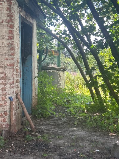 The image depicts an outdoor scene in Malyi Trostianets, Ukraine. In the foreground, a worn, blue-painted wooden door is set into a crumbling brick structure with white peeling paint. To the left of the door, a shovel and a post are leaning against the wall. The ground in front of the structure is dirt and debris. Beyond the door, a wellhead made of concrete rings is visible, with a green metal mechanism for drawing water. The wellhead is surrounded by lush green vegetation. Several tree trunks, sparsely leaved, lean over the scene from the right, casting dappled shadows. In the background, more greenery and a glimpse of a wooden fence can be seen, suggesting a rural or semi-rural setting. The lighting indicates it is a sunny day, with bright sunlight illuminating the foliage and the ground.