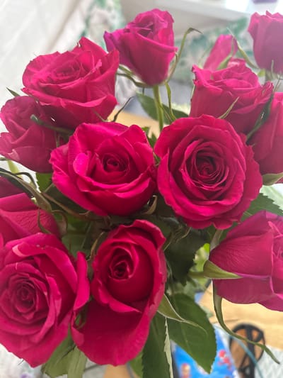 A close-up, eye-level shot shows a bouquet of vibrant pink roses. The roses are in various stages of bloom, with some tightly closed and others showing their delicate petals. The lighting suggests an indoor setting, possibly a home or florist, with a blurred background that hints at a soft, ambient environment. The focus is entirely on the rich texture and color of the rose petals, creating a visually striking and romantic composition. There is no discernible information about the specific location in Charnwood, United Kingdom.