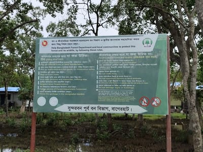 The image shows a sign in Bengali and English with rules and guidelines for visitors to a forest and wildlife area. The sign is located in a natural environment with trees and water visible in the background. The sign itself is green and white, with text in both languages. It features two icons: one depicting a lit match with a line through it, indicating no fires, and another with a megaphone and a line through it, indicating no loud noises or speakers. The text on the sign provides instructions such as "Do enjoy your visit," "Pay all Official Fees to Visit Sundarbans," and "Respect local People culture." It also lists prohibitions like "Do not make loud noises or use loudspeakers," "Do not litter," and "Do not damage signs or buildings." A portion of the sign indicates the location as "Sundarbans East Forest Division, Bagerhat," which is in Bangladesh. The bottom of the sign has a statement urging visitors to report any illegal activity to the Forest Department or ticket office. The overall scene suggests an ecotourism or protected natural area.