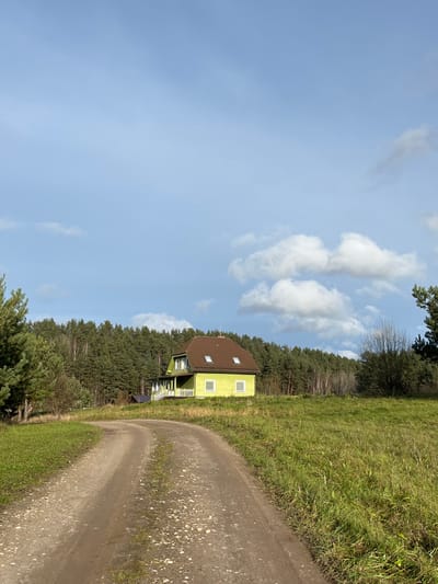 The scene depicts a rural landscape in Strigailiškis, Lithuania, under a partly cloudy sky with patches of blue and white cumulus clouds. A two-story detached house, painted lime green with a reddish-brown gabled roof, stands prominently in the midground on a grassy incline. The house features several white-framed windows, including two dormer windows on the visible roof slope, and a white-railed porch extending from its lower level. A slender, dark-colored antenna is visible on the left side of the roof. Behind the house, a dense coniferous forest forms the background, with some bare-branched deciduous trees visible within or at its edge. In the foreground, a dirt road, characterized by light-colored stones and gravel, curves gently to the right, bordered by green grass and sparse vegetation. A large evergreen tree is partially visible on the far left. No individuals, vehicles, or active elements are present in the static composition.