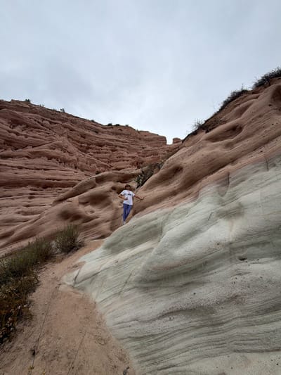 In this low-angle shot, a person is captured rock climbing on a textured, multi-colored cliff face. The climber, wearing a white t-shirt and blue pants, is positioned midway up the ascent. The cliff exhibits distinct layers of light gray and reddish-brown rock, with subtle striations and erosion patterns that create a natural, rugged appearance. Sparse vegetation, including dry grasses and some flowering plants, dots the base of the cliff and clings to its upper edges. The sky above is overcast and light gray, suggesting a cloudy or potentially misty day. The scene is set against the backdrop of a natural outdoor environment, likely a canyon or a rocky outcrop, emphasizing the scale and grandeur of the geological formations. The orientation of the photograph, with the rock face dominating the frame and the sky appearing at the top, gives a sense of verticality and the challenging nature of the climb. No text is visible in the image.