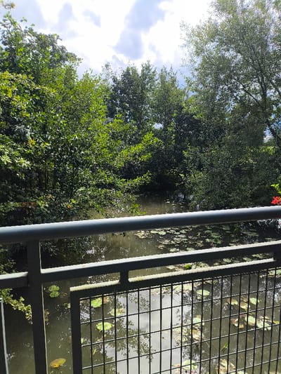 This image depicts an outdoor natural scene in Oberschaeffolsheim, France, viewed from an elevated position. The foreground is occupied by a dark gray metal railing, consisting of a robust top horizontal bar, a narrower middle horizontal bar, and a grid of vertical bars extending downwards. Beyond the railing, a body of water, appearing still, occupies the midground. The water's surface is extensively covered with numerous green lily pads and reflects the sky and surrounding foliage. The background consists of dense, verdant deciduous trees and shrubs forming a lush perimeter around the water. Above the tree line, a partly cloudy sky with scattered white cumulus clouds is visible. No individuals are present, and no specific actions or interactions are depicted within the frame. A small cluster of red flowers is visible on the far right, partially obscured by the railing.