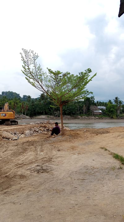 A young man in a dark purple shirt sits cross-legged under a small, green-leafed tree on a sandy construction site near a river. An excavator with the CAT logo is parked to the left of the frame, on the construction site. The background features a lush, tropical landscape with palm trees, vegetation, and a few houses. The sky is overcast with white clouds. The scene appears to be in a rural area, possibly near Beunyot, Indonesia, given the vegetation and construction activity.