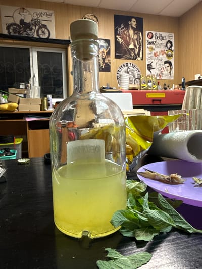 The image depicts an indoor scene, likely a cluttered personal space, with a focus on a partially filled glass bottle of yellow liquid, possibly a beverage or homemade concoction. The bottle has a cork stopper and a white label with faint text. In the foreground, to the right of the bottle, is a pile of fresh green mint leaves and a purple plate with what appears to be remnants of food, possibly fish bones. Behind the bottle, a yellow bag of snacks is visible, along with a roll of paper towels or a similar cylindrical object. The background features a wooden wall adorned with several posters, including one of Freddie Mercury and another featuring various bands like The Beatles and Pink Floyd. A motorcycle poster is also visible on the upper left. Shelving units with various items, including boxes, containers, and bottles, are present in the mid-ground. The overall impression is of a lived-in environment, possibly a workshop or living area, with elements suggesting a casual or impromptu gathering. The location in Leninogorsk, Russia, is not visually discernible from the image itself.