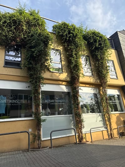 This is a vertical, outdoor, eye-level shot of a building facade heavily draped with lush green ivy. The building is painted a warm yellow and has several windows of various sizes, some reflecting the blue sky and clouds. The ivy appears to be growing upwards along the walls, creating a striking natural element against the man-made structure. On the windows, white text is visible, reading "KOSMETIKINSTITUT CHRISTIANE AUGUSTIN" along with a lotus flower logo. There are also metal railings positioned in front of some of the windows, near a paved walkway. The lighting suggests it's daytime, likely sunny given the shadows cast by the ivy. The scene evokes a sense of calm and natural beauty integrated into an urban setting, possibly a commercial establishment like a beauty salon.