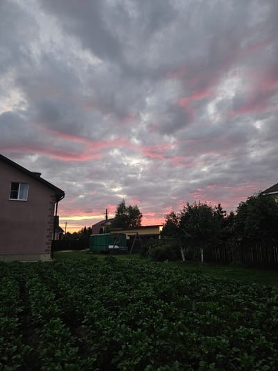 The image depicts a rural backyard scene in Gornye Moriny, Russia, at dusk. A large field of dark green plants, likely potatoes, occupies the foreground. Beyond the field, a light pink and grey cloudy sky dominates the upper portion of the frame. In the midground, a light-colored house with a dark roof is partially visible on the left. To the right of the house, a green cargo container and a swing set are situated. Several trees and a wooden fence run along the middle and right sides of the scene. The overall lighting suggests a twilight or sunset setting.
