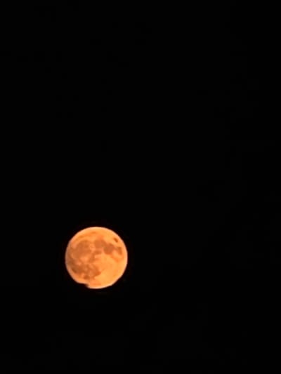 This media file is a photograph of a bright, orange full moon set against a completely black sky. The moon is positioned in the right half of the frame and appears slightly out of focus, with some visible texture and features on its surface. There are no other celestial bodies or objects visible in the sky. The overall impression is one of a clear night sky, likely devoid of clouds, allowing for an unobstructed view of the moon. The dark background emphasizes the luminous quality of the moon. Given the location context of Fumane, Italy, this could be a typical night sky view in that region, particularly during a full moon phase. The time of day is clearly night, and there are no indications of weather conditions other than the apparent clarity of the sky. No text is visible in the image.