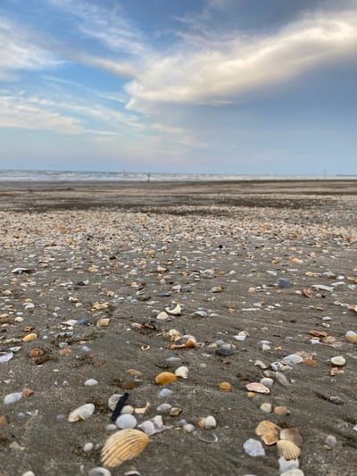 The image presents a low-angle, forensic view of a tidal beach environment in Uleeblang, Indonesia. The immediate foreground is dominated by a dark, wet sandy surface densely covered with an array of seashells and shell fragments of varying sizes, shapes, and colors, including white, cream, orange, grey, and black. Ripple marks are present on the sand. A large, ribbed bivalve shell is prominent in the lower left. The midground transitions to a flatter expanse of darker sand or mudflats, leading to the ocean. Small waves are visible at the waterline. In the distant background, several indistinct, thin vertical posts or structures rise from the water. The sky is partly cloudy, featuring patches of light blue interspersed with large, white to grey stratiform clouds. No individuals or active subjects are present.