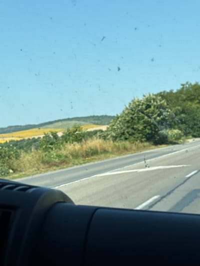 The image captures a view from inside a vehicle, looking out at a rural landscape on a sunny day. The foreground is dominated by the dark interior of the vehicle, likely a dashboard or car door. Beyond the vehicle, a paved road with white lane markings stretches into the distance. To the left of the road, a hillside is covered in green vegetation and what appears to be a field of yellow flowers, possibly sunflowers, indicating the location is near Osenets, Bulgaria, during the blooming season. The sky is a clear, light blue with a few scattered specks, likely dust or debris on the vehicle's window. The overall scene suggests a scenic drive through the Bulgarian countryside.