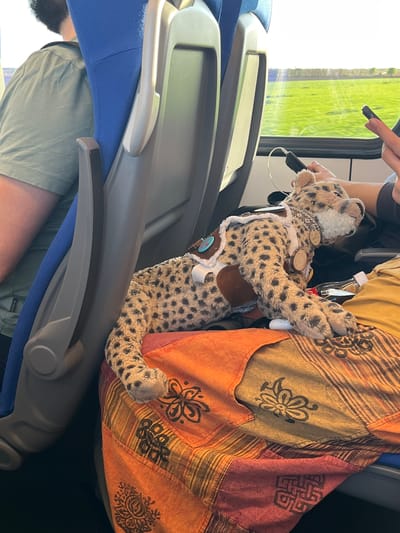 The image shows a stuffed cheetah toy seated on a train seat next to a person wearing an orange and yellow patchwork jacket. The cheetah is adorned with a necklace and other decorations. The seat is blue and grey. Outside the train window is a green field. The train is traveling through Stara Pazova Municipality, Serbia.