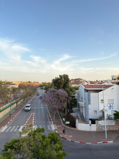 This is an eye-level photograph of a street scene in Rehovot, Israel. The image is oriented vertically. A street, lined with trees and buildings, runs through the center of the frame, receding into the distance.
Several vehicles, including a white van, are visible on the road. The road has clearly marked lanes and crosswalks. Red and white curb markings are present on either side of the street.
On the right side of the frame, houses stand close to the road, and an Israeli flag is attached to one of the buildings. Trees with purple blossoms line the street.
A clear blue sky occupies the upper left portion of the frame. The image appears to have been taken during daylight hours. The overall impression is of a typical urban street scene.