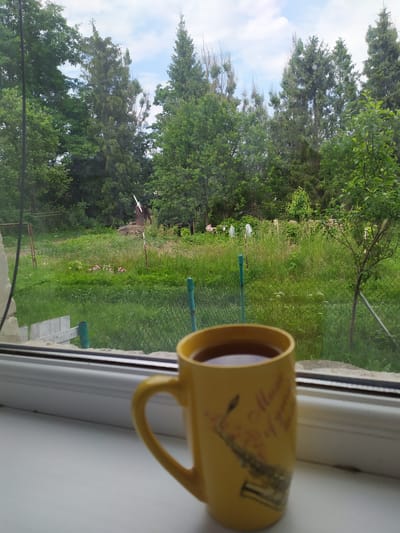 A yellow mug filled with a dark liquid, possibly coffee, sits on a white windowsill. The mug has a handle and appears to have some red and black markings on its surface, though they are not entirely legible. Beyond the windowsill, a lush green outdoor scene is visible through what seems to be a window. The scene is dominated by trees and vegetation, suggesting a natural or garden setting. Several thin green poles or stakes are scattered throughout the grassy area, and a chain-link fence can be seen in the mid-ground. In the distance, a small structure, possibly a shed or a birdhouse, is partially visible amongst the greenery. The sky above is partly cloudy, with patches of blue visible through the trees. The overall impression is one of a peaceful, possibly early morning or late afternoon setting, with the sunlight filtering through the leaves. The image is oriented vertically, with the windowsill and mug taking up the right portion of the frame and the outdoor scene filling the left. The quality of the image is somewhat blurry, particularly on the mug's surface.