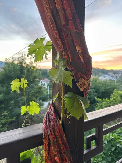 A close-up, low-angle shot shows a grape vine with vibrant green leaves and tendrils winding around a dark wooden trellis. The trellis is part of an outdoor structure, possibly a gazebo or pergola, with abstract geometric cutouts visible in the background. Two pieces of draped fabric, with a rich pattern of red and gold floral motifs on a dark background, hang from the trellis, partially obscuring the view.
Beyond the trellis and the vine, a hazy landscape unfolds. The sky at the top of the image is filled with the warm, soft glow of sunset, transitioning from a bright yellow-orange near the horizon to a pale, cloudy grey above. The sun is not directly visible, but its light creates a diffused, ethereal atmosphere.
Below the sunset sky, a hillside is dotted with houses, suggesting a semi-rural or suburban setting. Lush green trees and foliage dominate the middle ground, creating a dense canopy that obscures some of the structures. The overall impression is one of a tranquil evening in a scenic location, possibly Myskhako, Russia. The time of day is clearly sunset, with the warm light casting a serene mood. The weather appears clear with some cloud cover.