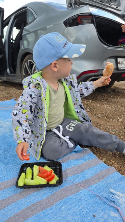 A young boy wearing a blue cap, a gray jacket with a dinosaur print and green lining, and gray sweatpants sits on a blue and gray striped blanket. He is holding a piece of food in his right hand and reaching for a slice of tomato on a black plastic tray containing sliced cucumbers and tomatoes. The tray is positioned on the blanket in front of him. In the background, the open trunk of a silver car is visible, with the rear door of the car also open. The ground appears to be gravelly. The scene is set outdoors, in a location that appears to be in or near the city of Дарьино, Russia.