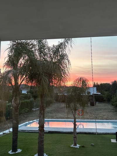 The image shows a view from what appears to be a balcony or window, looking out over a garden and pool area, likely in Urbanización Encinares De Alcolea, Spain, based on the prompt. A sunset with orange, pink, and white hues is visible in the sky. Two palm trees are in the foreground, partially obscuring the view. A rectangular pool with white coping is seen to the right. A life preserver is visible near the pool. Green grass surrounds the pool. Further in the background, trees and a white structure are visible. A thin, dark line stretches across the image, possibly an electrical wire.