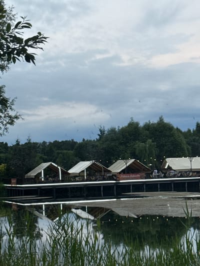 In Petrovo, Russia, an outdoor dining area is set up on a pier extending over a body of water. Several open-air tents with white roofs are arranged along the pier, each furnished with tables and chairs. People are visible seated at some of the tables, engaged in dining or conversation. The pier is illuminated by strings of lights, and a banner with Russian text is displayed. In the foreground, reeds and other vegetation grow along the water's edge. The reflection of the dining area, trees, and the overcast sky is visible on the surface of the water. In the background, a dense line of trees forms the horizon under a cloudy sky. A few birds are in flight against the sky.