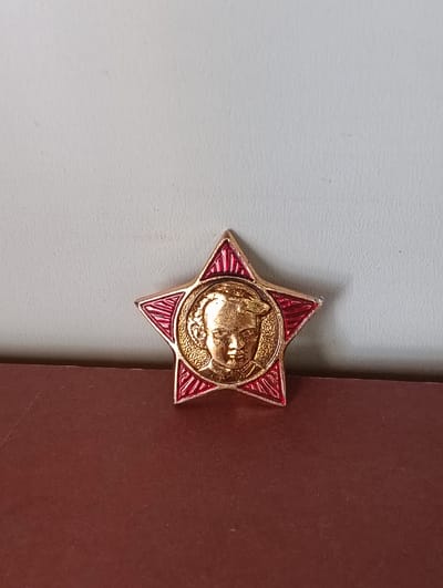 A close-up, eye-level, medium shot captures a gold and red star-shaped medal. The medal features a raised gold effigy of a young boy in the center, surrounded by a gold textured circle. Red enamel fills the triangular points of the star, with thin red lines radiating from the center towards the points. The medal is positioned on a dark brown surface, which occupies the lower half of the frame. The background is a light gray, textured wall. The scene is static and appears to be an indoor setting. There is no discernible location in the city of Florești, Moldova.