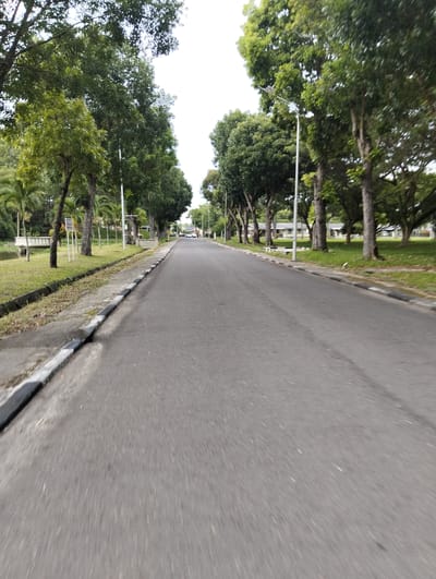An asphalt road stretches into the distance, flanked by lush green trees on both sides. The road is bordered by a concrete curb with black and white markings. On the left side of the road, there is a grassy area with a small bridge and a pond. In the distance, a white car is visible on the road. The sky is overcast. The location is Palohgadeng, Indonesia.