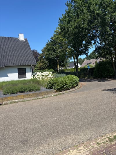 The image depicts a street scene in the city of Asten, Netherlands, under a clear blue sky. In the foreground, a paved road curves to the right. To the left, a white brick house with a dark, tiled roof and a brick chimney is visible. The house has a dark-framed window with blinds. Adjacent to the house is a garden area with gravel, low-lying green plants, and a cluster of large white hydrangeas. Further to the left, a retaining wall separates the garden from the road. In the background, several trees with dense green foliage line the street. Beyond the trees, other houses with tiled roofs are visible, along with a blue sign on a pole. The overall impression is a well-maintained suburban residential area on a sunny day.