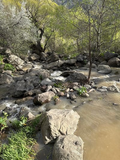 A stream flows through a rocky area, bordered by trees and vegetation. The water is murky brown, and large, gray rocks line the stream's edge. Trees with sparse foliage and a flowering tree are visible on the left. The location is Goght, Armenia.