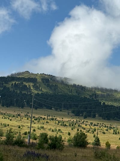 The image depicts a mountainous landscape in T/B Seminskii Pereval, Russia. The foreground features a grassy field with scattered trees and a wooden utility pole with electrical wires. In the midground, a dense forest of dark green trees covers the lower slopes of a hill. The upper slopes of the hill are covered in sparse vegetation, with many bare, blackened tree trunks indicating past fire damage. The top of the hill is shrouded in white clouds and mist, partially obscuring the blue sky. The overall scene is natural and undeveloped, suggesting a remote or rural location. There are no people or animals visible in the image.