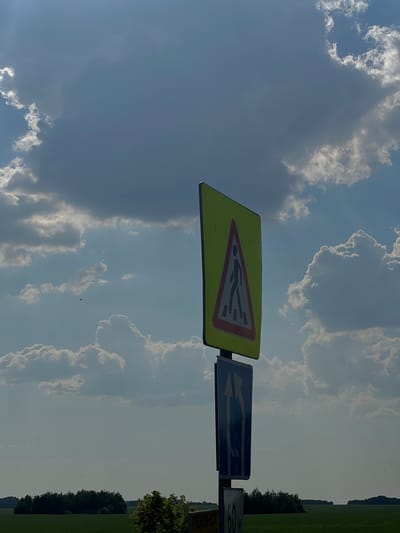A street sign with a pedestrian crossing symbol stands prominently against a cloudy sky. The sign is yellow and triangular, with a red border and a black silhouette of a person walking on a crosswalk. Below it, a blue rectangular sign displays two white arrows indicating a lane merge. In the distance, a line of trees separates a green field from the horizon. The image appears to be taken in Krasnyi Vostok, Russia, though specific details about people or actions are not visible.