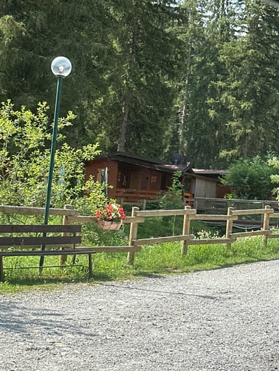 The image depicts an outdoor scene in Borno, Italy, likely during daylight hours given the bright sunlight casting shadows. The setting is a rustic, natural environment with a prominent wooden fence that runs diagonally across the frame, separating a gravel path on the right from a grassy area and dense green trees on the left.

On the left side of the fence, nestled amongst lush foliage, is a small wooden cabin. The cabin appears to be made of dark wood with a lighter roof. A single light fixture with a clear bulb hangs from a dark green pole in front of the cabin, further to the left and lower in the frame. In front of the cabin, a hanging basket filled with red and white flowers adds a touch of color to the scene. The wooden fence itself is constructed of rough-hewn logs, suggesting a rural or natural setting.

The gravel path on the right is wide and textured, with a visible crack running through it. The overall atmosphere is tranquil and serene, evoking a sense of peacefulness associated with nature and rural living. There is no visible text in the image. The scene appears to be static, with no people or active events taking place, suggesting a snapshot of a quiet moment in this Italian location.