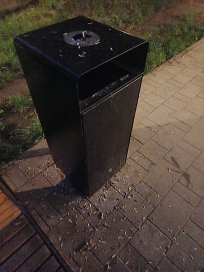 An outdoor shot, taken at ground level, depicts a black trash receptacle with an integrated ashtray on top. The receptacle is positioned on a paved walkway composed of rectangular gray bricks. Scattered around the base of the receptacle and on the walkway are numerous dried leaves and debris. To the left of the walkway, a patch of green grass is visible, appearing somewhat damp. The lighting suggests it is either dusk or nighttime, casting shadows on the paved surface. The scene is located in the city of Sof'ino, Russia.